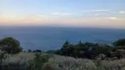 夏高花の画像