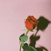 un♡の画像