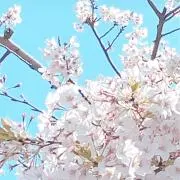 ♡の画像