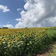 もこの画像