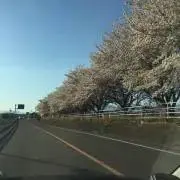 きぬとーふ