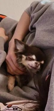 みーちゃん