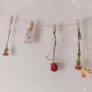 えむの画像