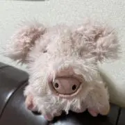 Mr.PIGの画像