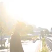 Y.A