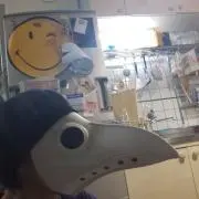 リロ&スティッチ ボールペン付ペンスタンド・スティッチ - メルカリ