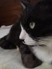S Oの画像
