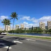 ドラ子の画像