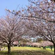 美桜☆子供服大量出品中！の画像