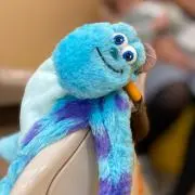 ぽん‎⁦‪‎⁦‪(ᐡ ᐧ ﻌ ᐧ ᐡ)の画像