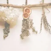 ちゅりの画像
