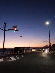 allyの画像