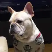 poteto