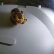 じゅん