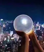 マキの画像