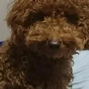 ちゅみこ