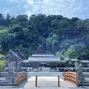 Fiorfatinaの画像