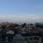 aoiの画像