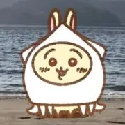 オーダー色種類無料、コメント下さい！の画像