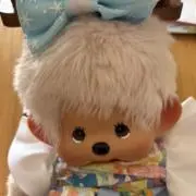 す！の画像