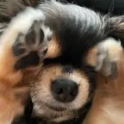 keityの画像