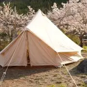焚火君