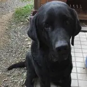 ぶるmamaの画像