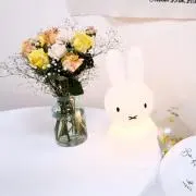 chocoの画像