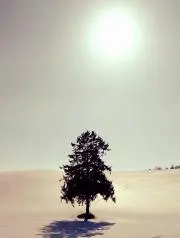 ☆かこみ☆の画像