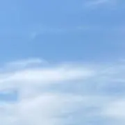 5月のメイの画像