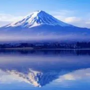 ふるふるの画像