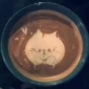 shimakoの画像