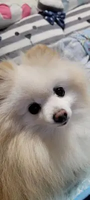 ⭐ちょび⭐