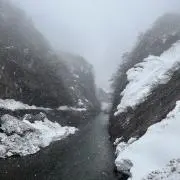 けんとの画像