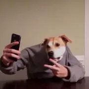 先輩