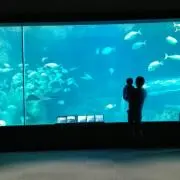 さぁやの画像