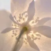95’sの画像