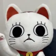 ぴょんの画像