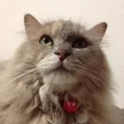 やまみ