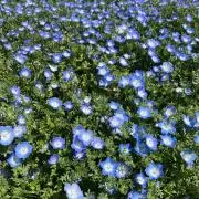 ⭐︎なお⭐︎の画像
