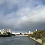 ぺこりの画像