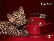 Cartier89n@の画像