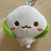 あら❤️フォの画像