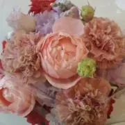 あーす