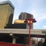 タガメの画像