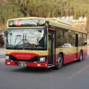 とちおとめ
