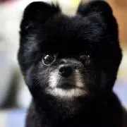 marilineの画像