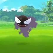 通りすがりのどんぐり