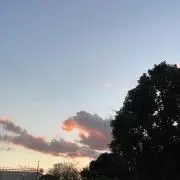 lunlunの画像