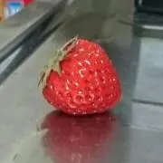 紫の画像